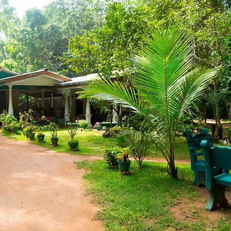 Sigiri Lodge สิกิริยา ภายนอก รูปภาพ